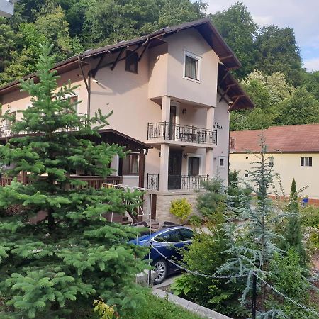 Vila Tisa Тисмана Екстериор снимка