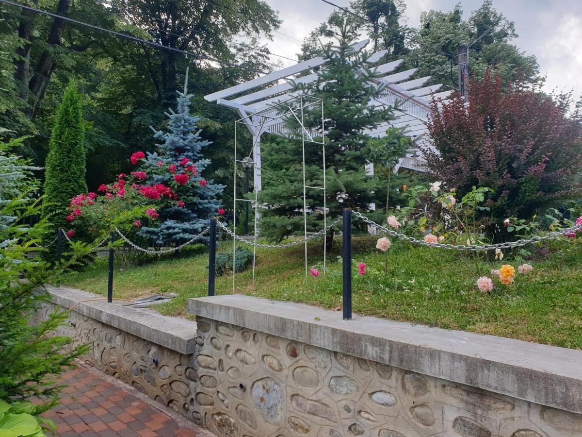 Vila Tisa Тисмана Екстериор снимка